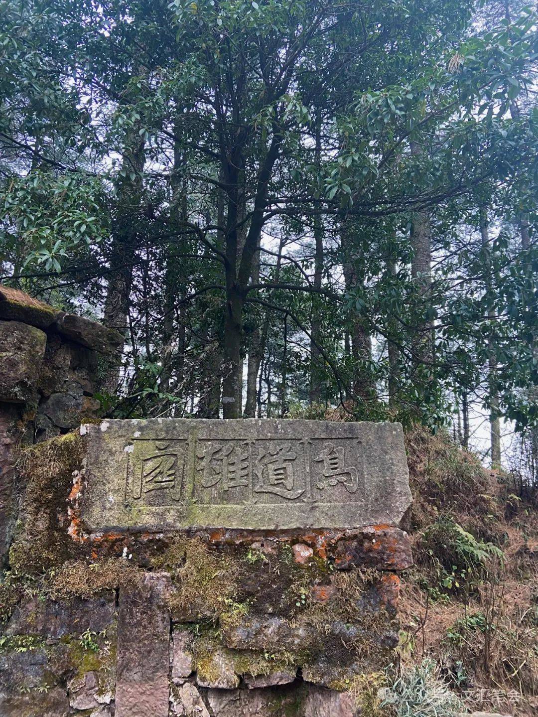 仍在呼吸的弥蒙古道 | 默音