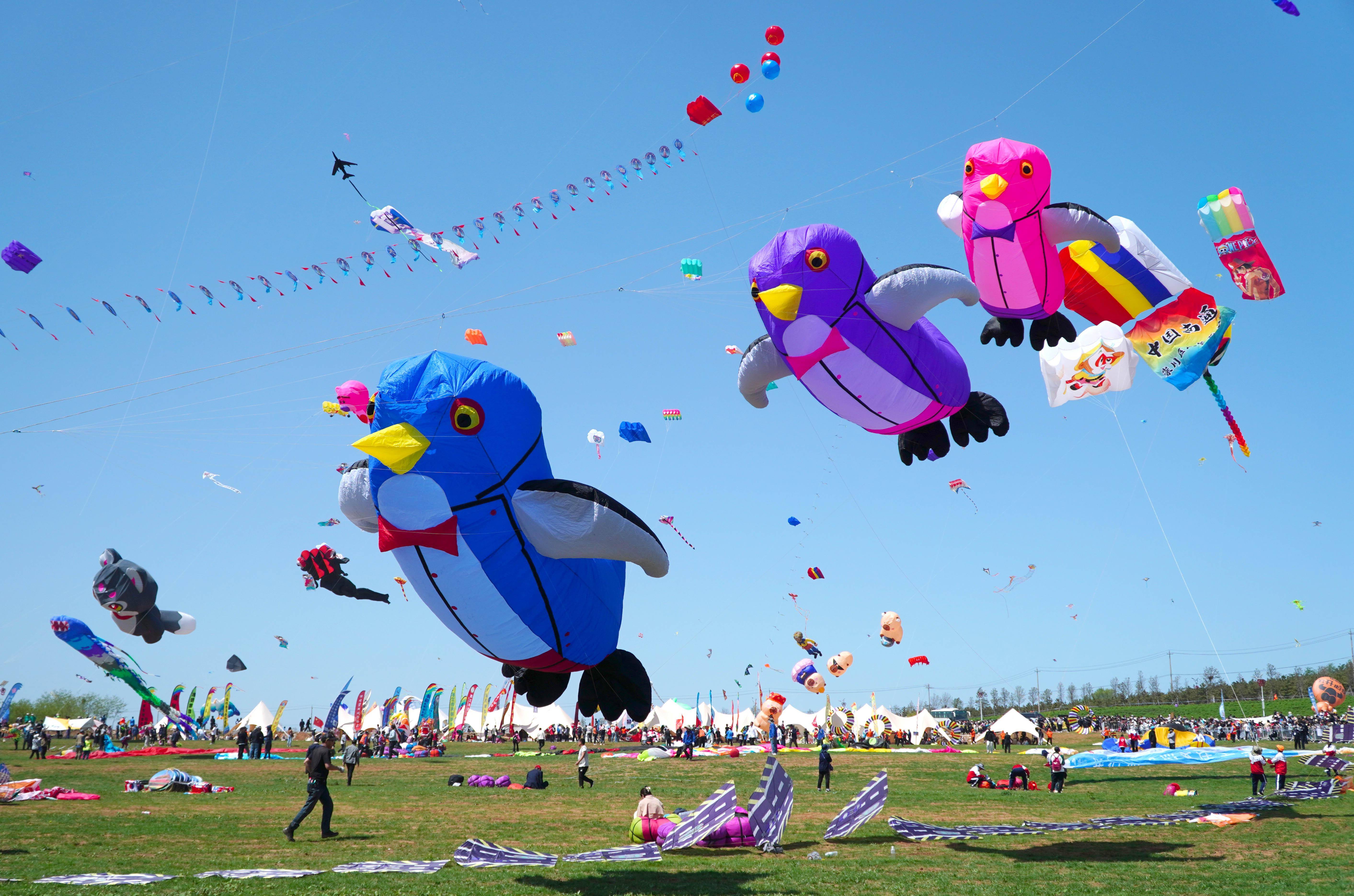 第41届潍坊国际风筝会万人风筝放飞活动举行