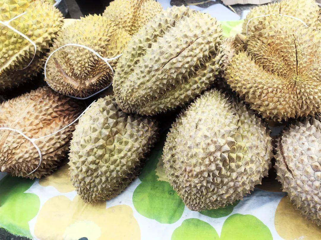 大集里最不缺的就是新鲜蔬菜水果,好多摊主都是周边村民,卖的菜也都是