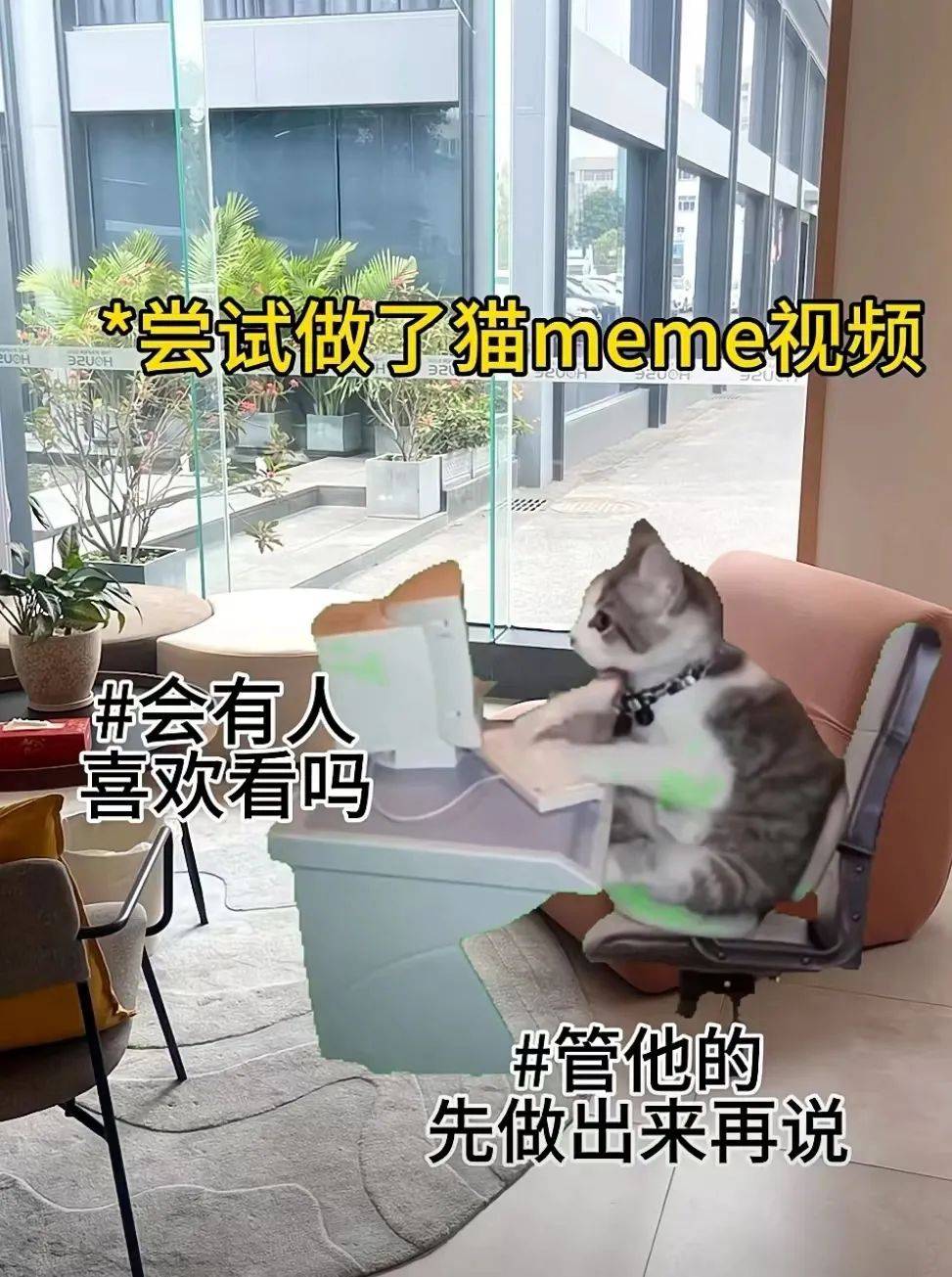 什么？你也中了“猫meme”的毒？_搜狐网