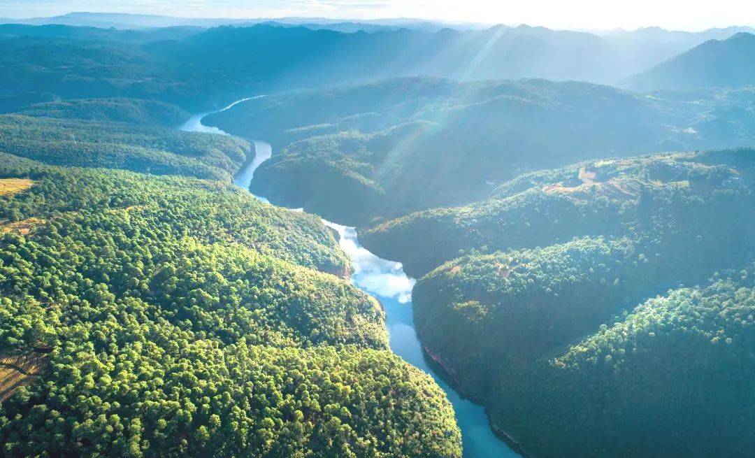 8周年·耕耘丨全力打好产业服务优势牌 以新质生产力服务人民群众美好