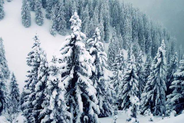 【地理专题】世界海洋表层洋流的分布,地理视角看积雪深度