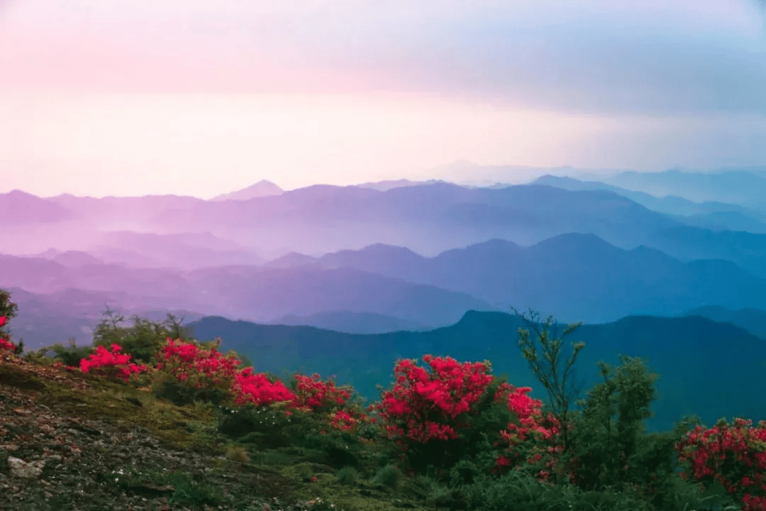 天台大雷山景区图片