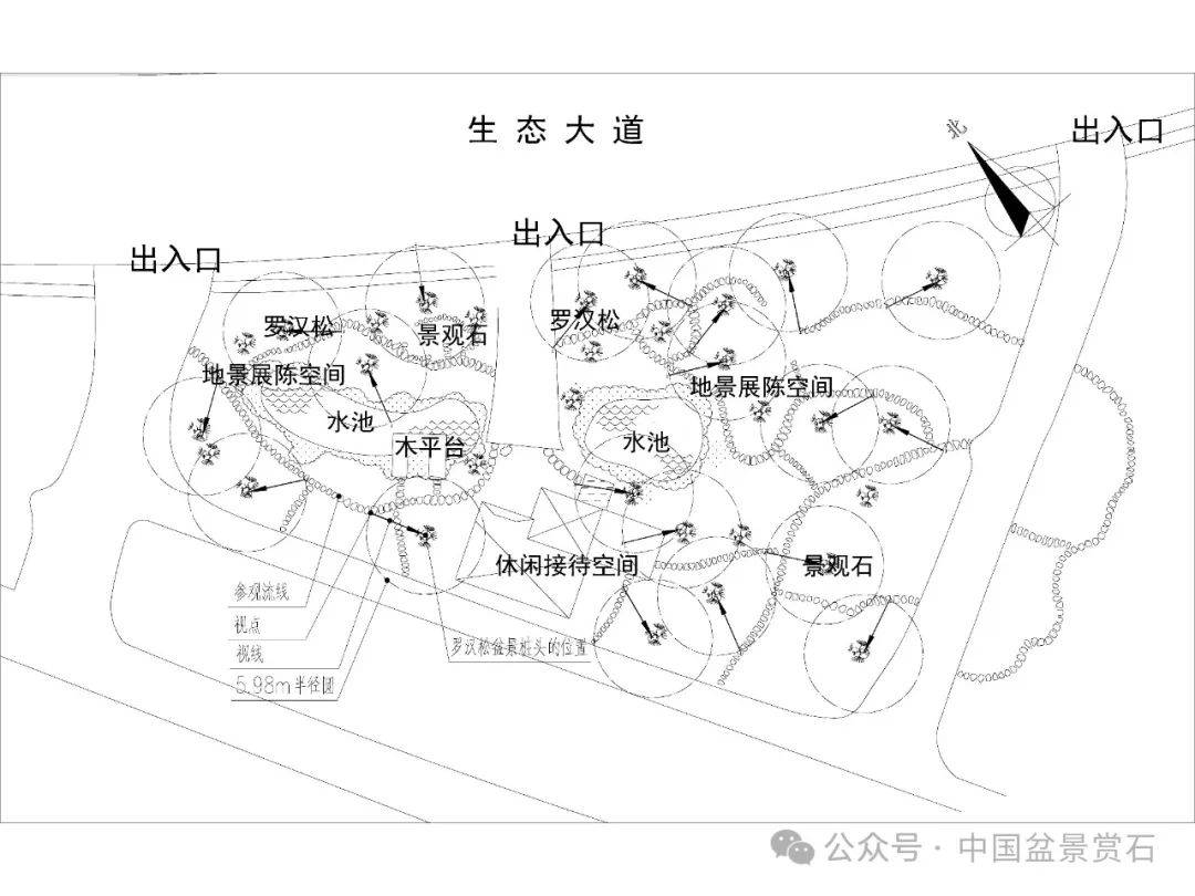 小品演员刘洋简介图片