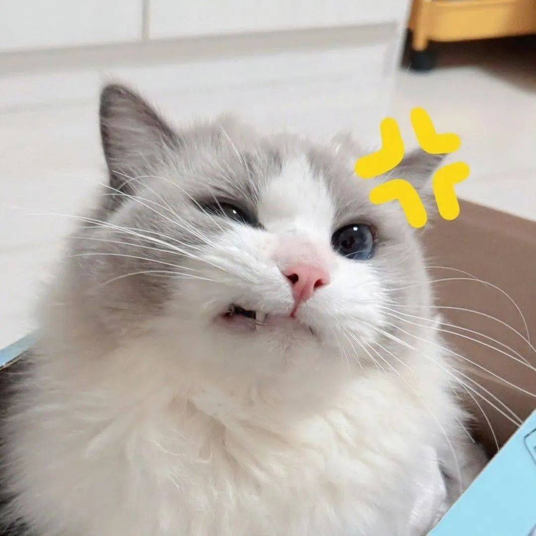 头像 i 高级感363436373039 ins风头像