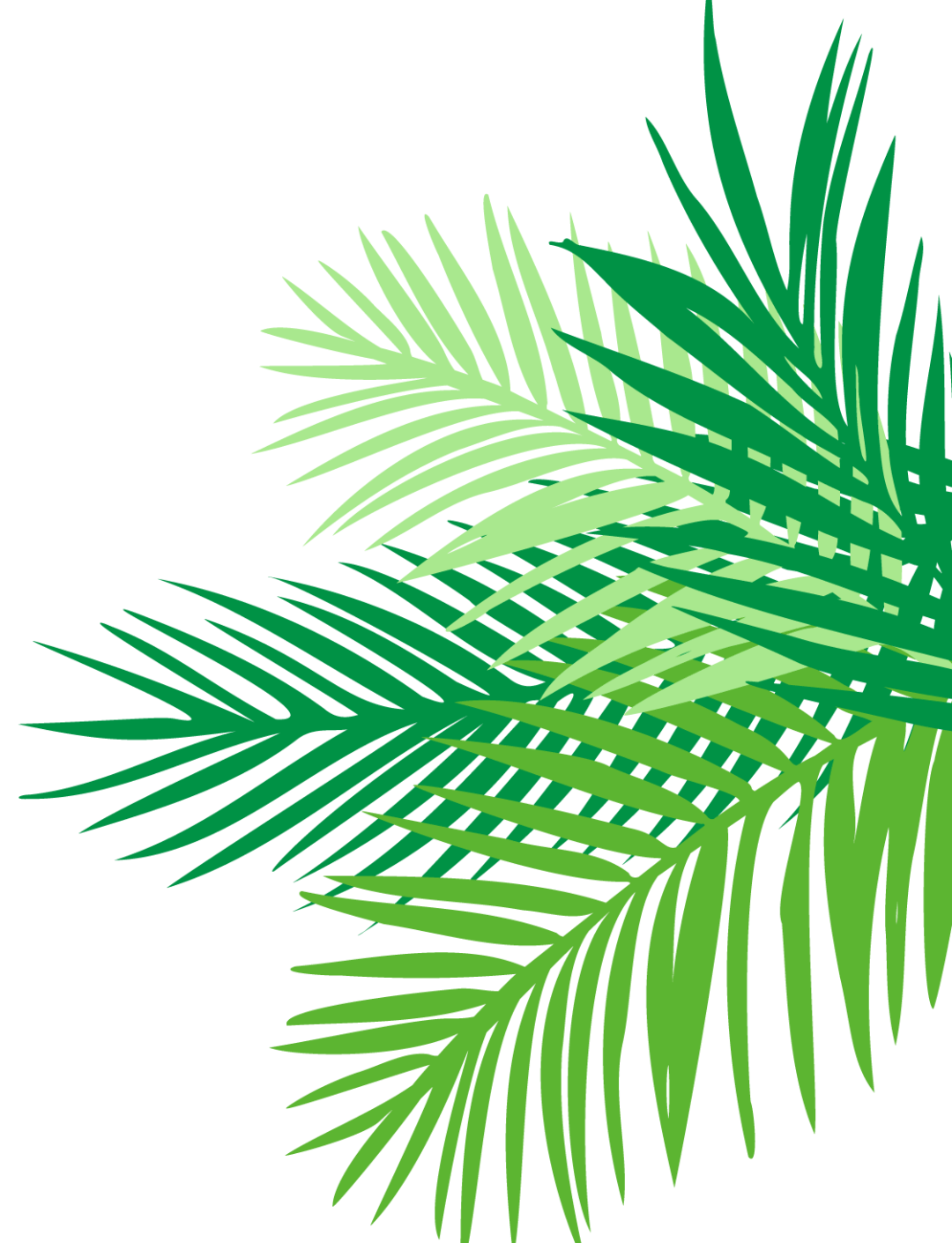 亲爱的孩子,欢迎你到地球来