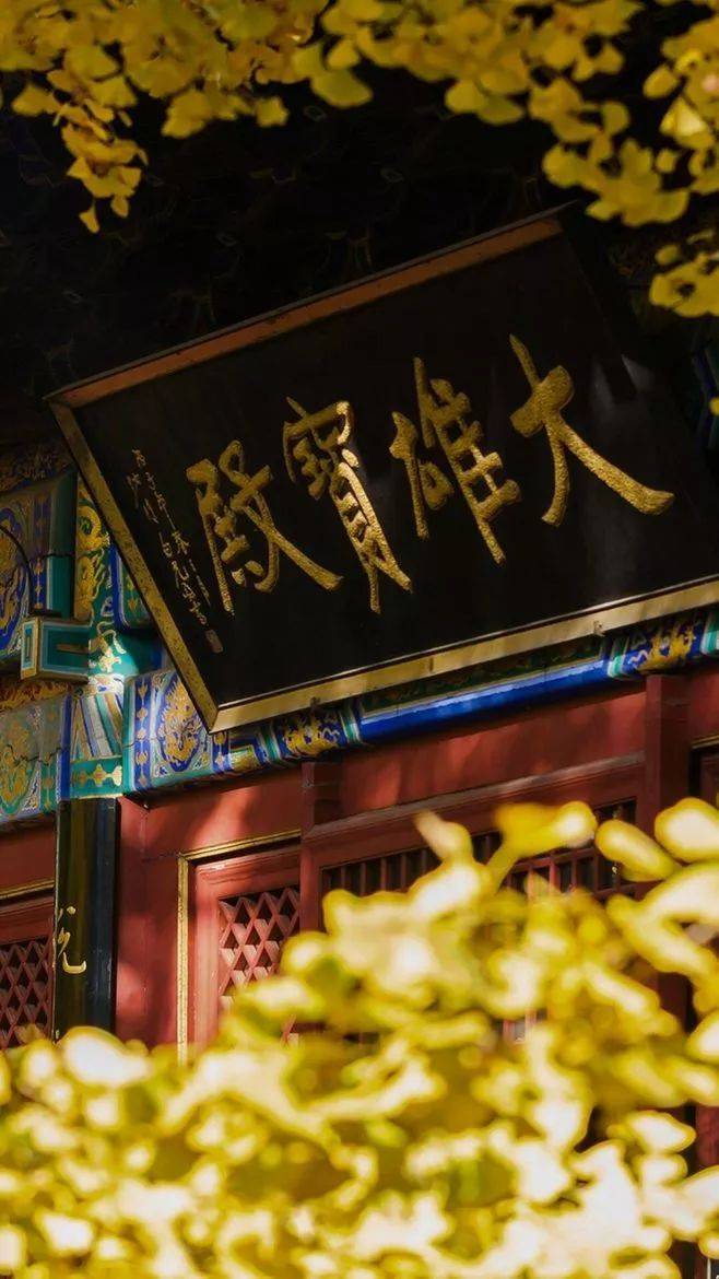 人生本过客,何必惹尘埃(深度好文)_老天爷_时候_生命