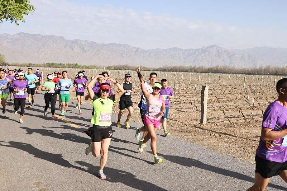 2024宁夏贺兰山东麓葡萄酒产区半程马拉松路跑双季赛(花季赛)鸣枪开跑