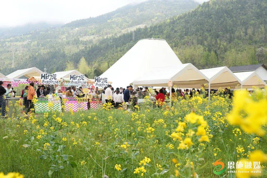 "春日经济"持续升温,乡村旅游成热门,一季度旅游综合收入1.6亿元!