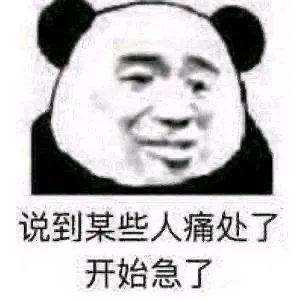 你多少有点问题?熊猫头表情包