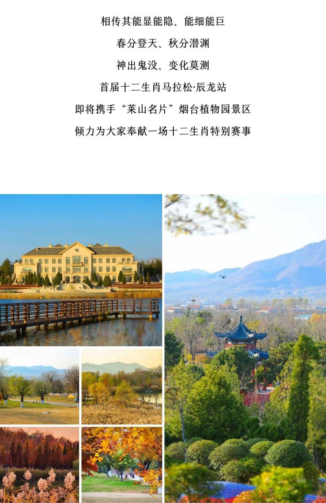 山东|第九届莱山半程马拉松暨首届十二生肖马拉松·辰龙站报名!