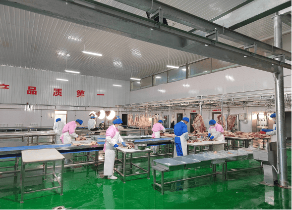 栽好梧桐树 引得凤来栖—定西市安定区招商引资工作侧记