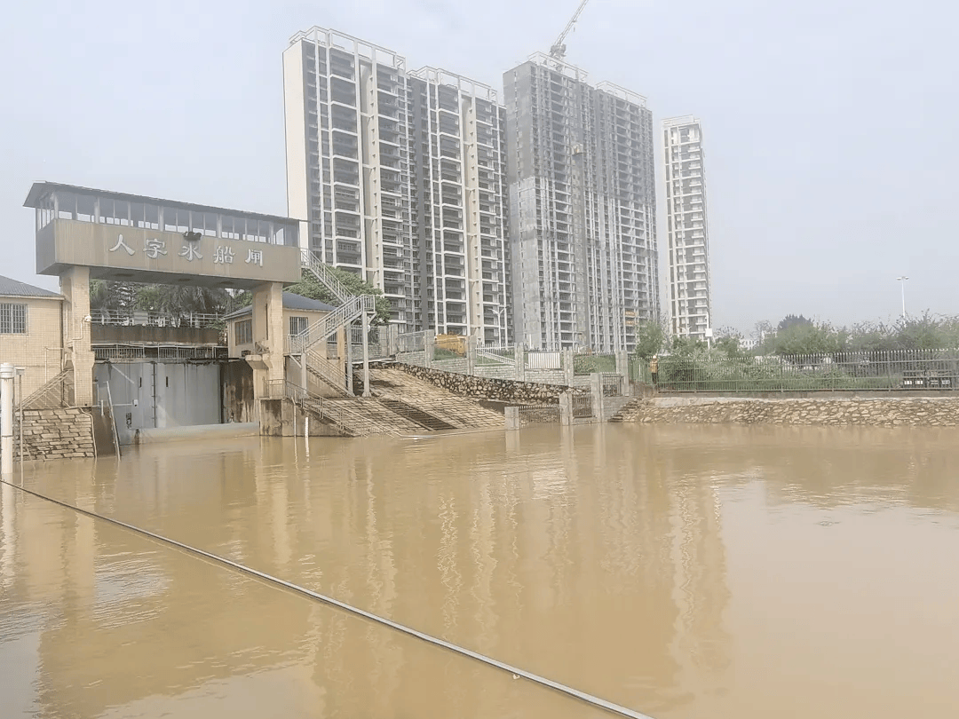 沙头北江湿地公园已关闭!洪峰今晚将过境佛山