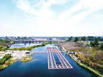 悬浮式养鱼见过吗? 40万尾大口黑鲈"安家"新津