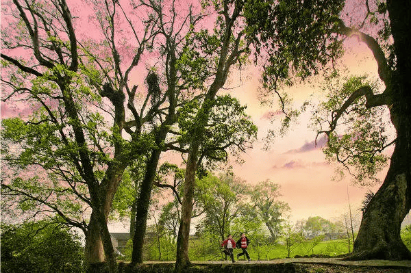 贾家古村瑞州府衙元青花博物馆巴夫洛贾家古村day2巴夫洛—元青花博物