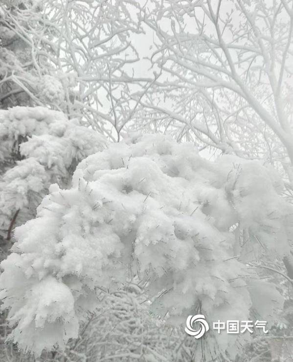 重回冬日模式 内蒙古赤峰市部分地区出现降雪_天气_中国_网讯