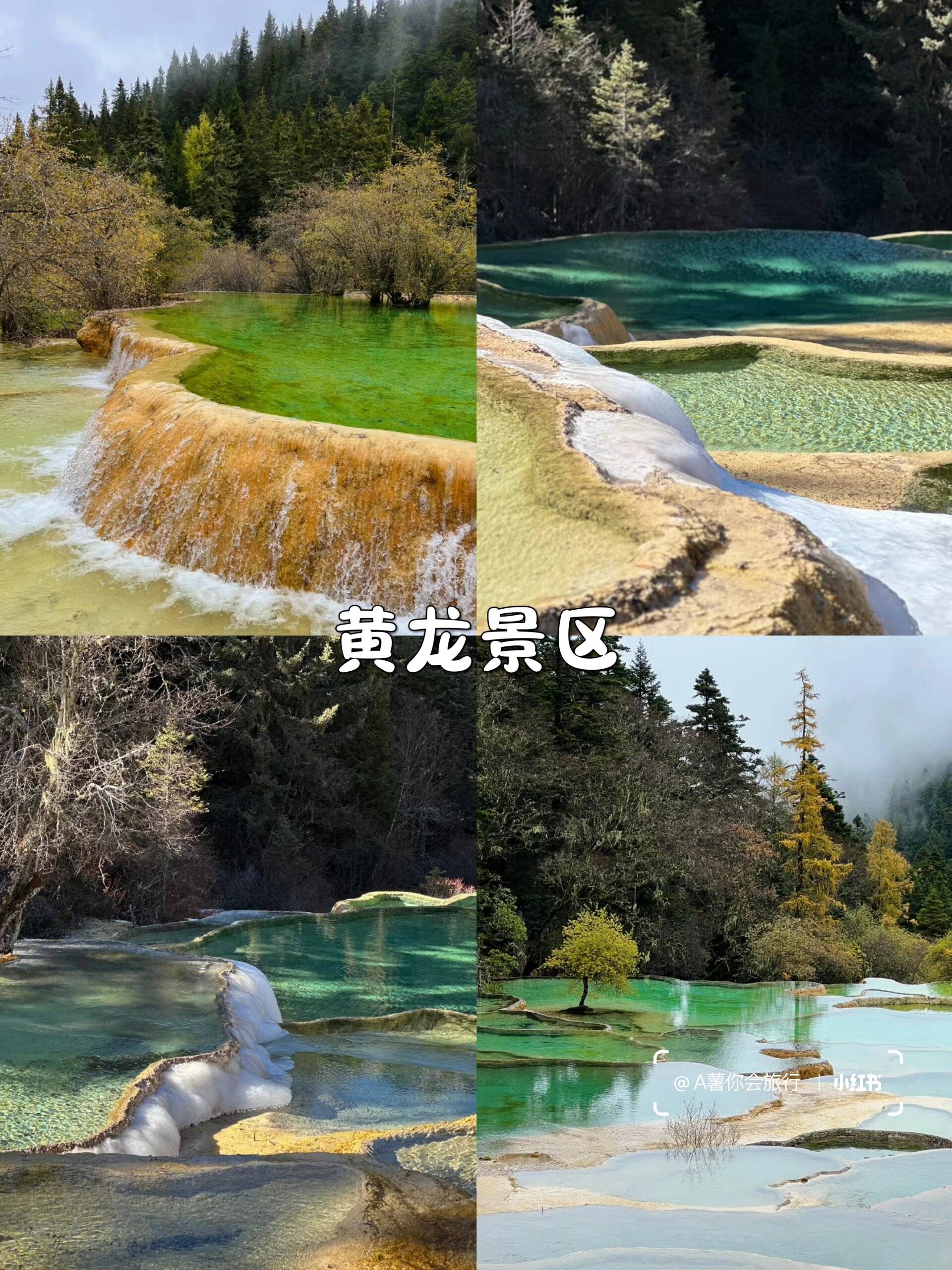 石嘴山到四川旅游攻略 ,来的姐妹们一定要听劝