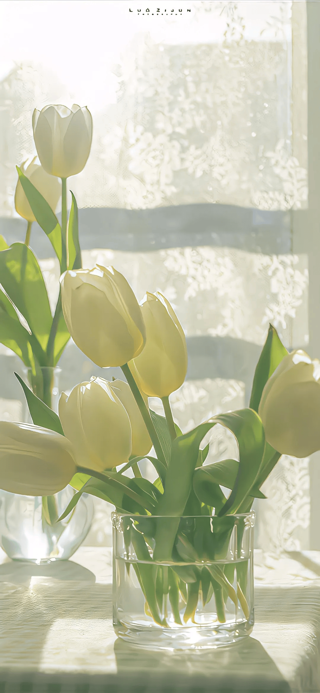 壁纸 | 元气满满的高清壁纸