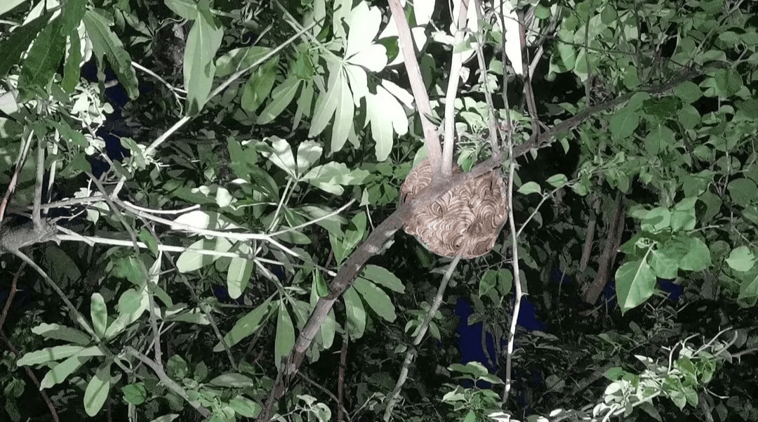 淮南市_小吃_com