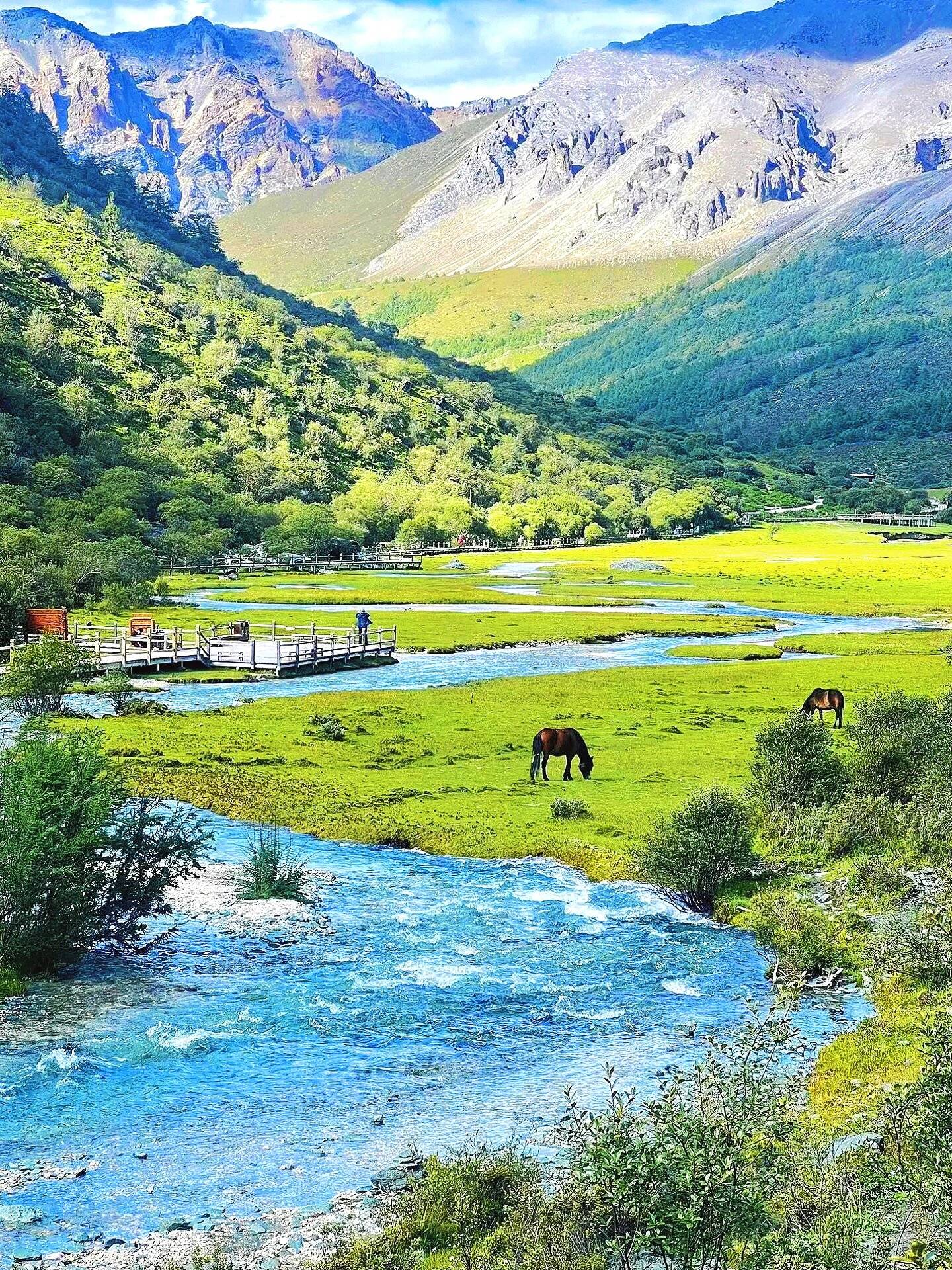 上海到四川峨眉山旅游攻略 ,这篇旅游攻略巨巨巨详细!_李娜_旅行_导游