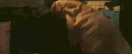 尺度拉满,拳拳到肉,这r级动作片杀疯了!