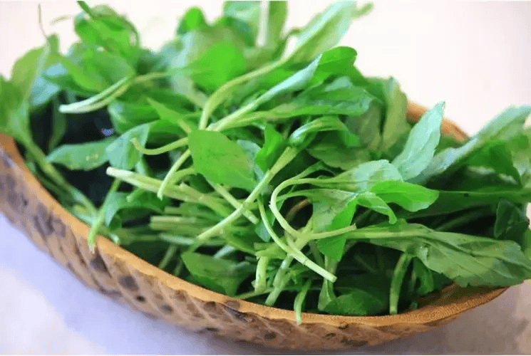 48岁女子顿顿吃荠菜,3个月后去医院体检,肠胃状况令人