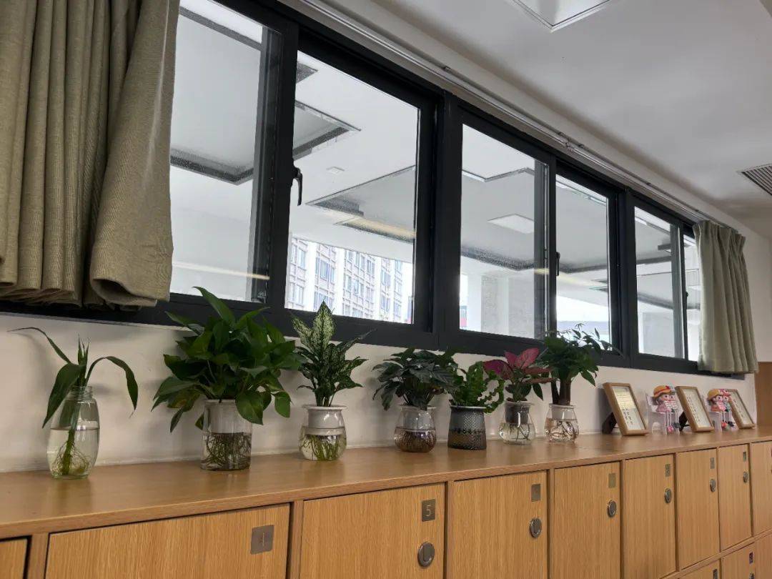 台江校区"星级教室"评比 | 温"星"教室 "级"待共创_活动_初二_初一