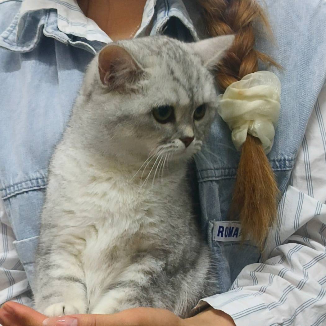 初学者必看：个人网站备案的详细步骤和注意事项