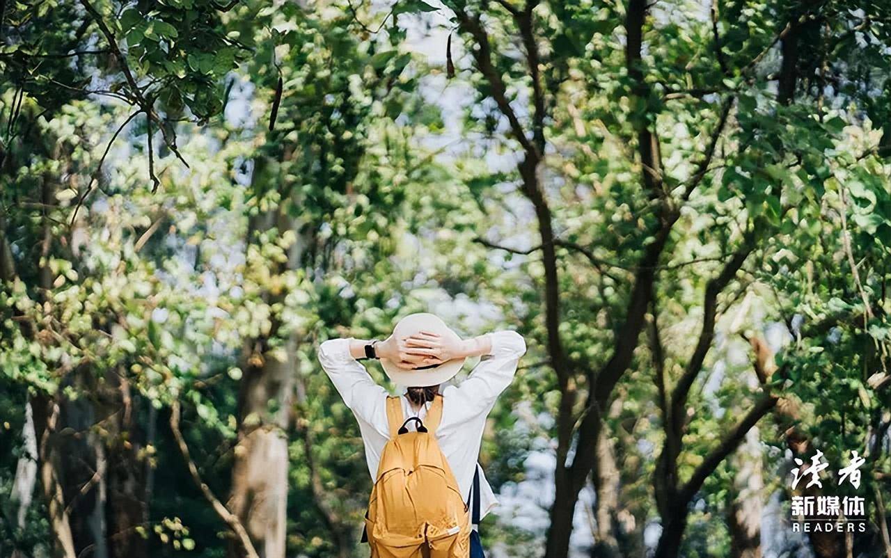 壁纸 花 桌面 1280_802