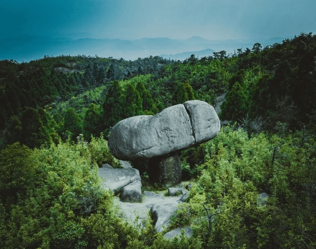 茂密的丛林等等美丽的自然景观,组合成了玉苍山国家森林公园独特的