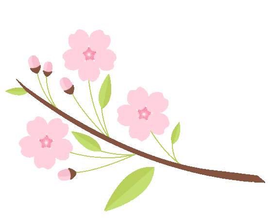 壁纸 花 桌面 556_458