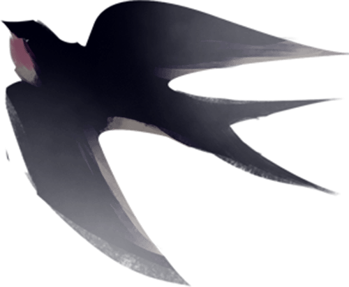 用银联卡打开曼谷逛吃攻略_latex