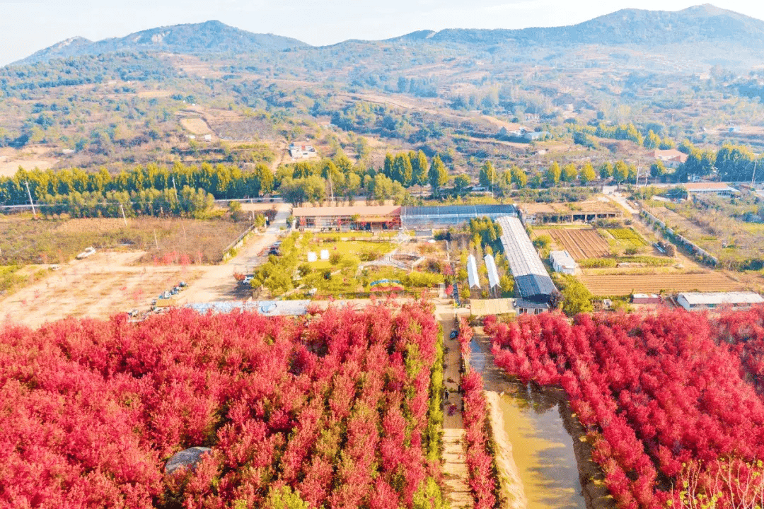 上微博,分享自己的莱山印象,赢千元奖品