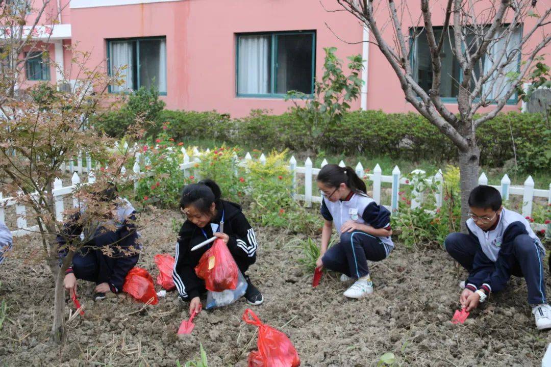 新优质学校