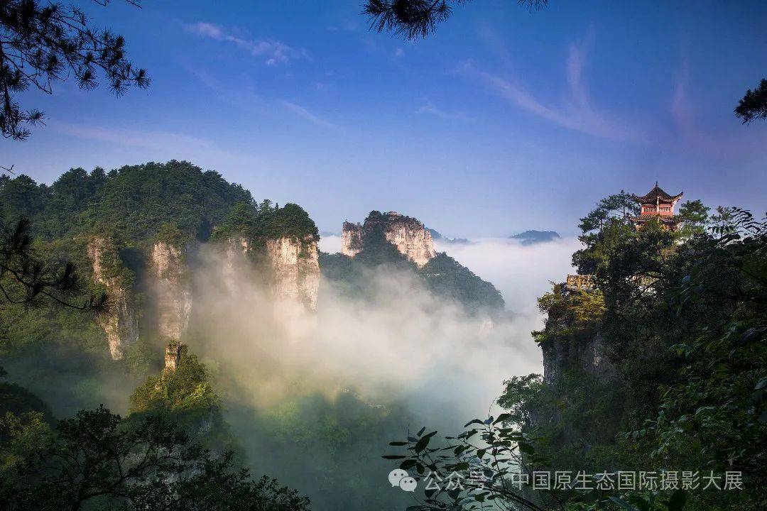 世界自然遗产探索之旅(三)——云台山