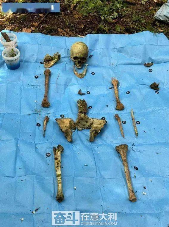 博洛尼亚:著名山丘发现人类骸骨 警方展开调查