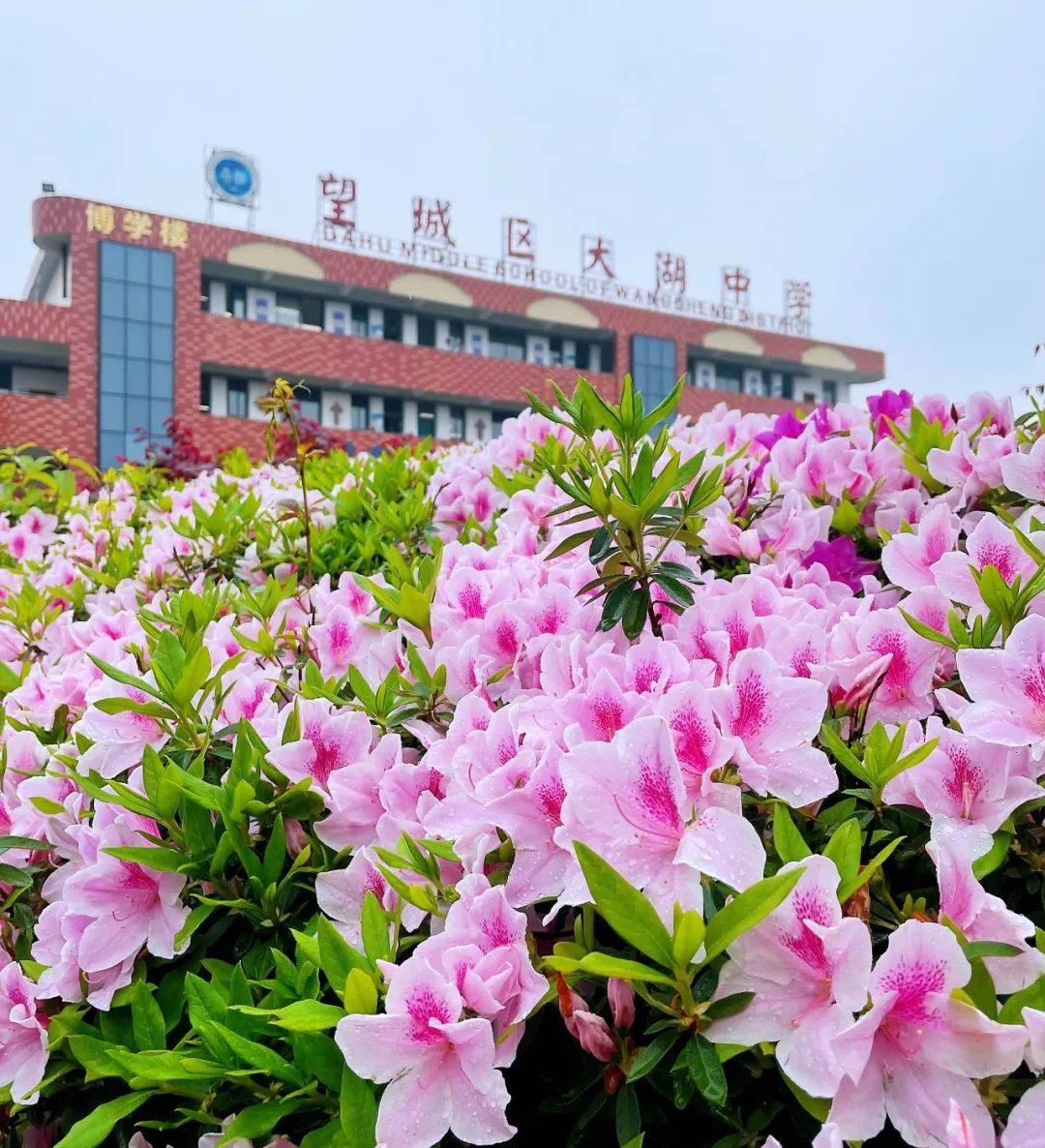 望城校园“校花”大赏！你PICK哪一个？-长沙励烽教育集团望城新校区地址