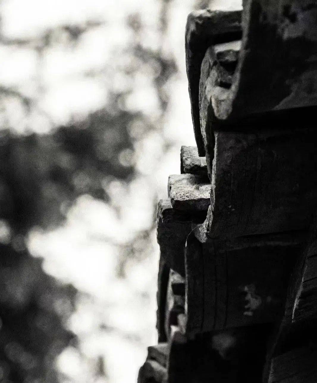 悦读·潮文丨丰士:鲜为人知故事