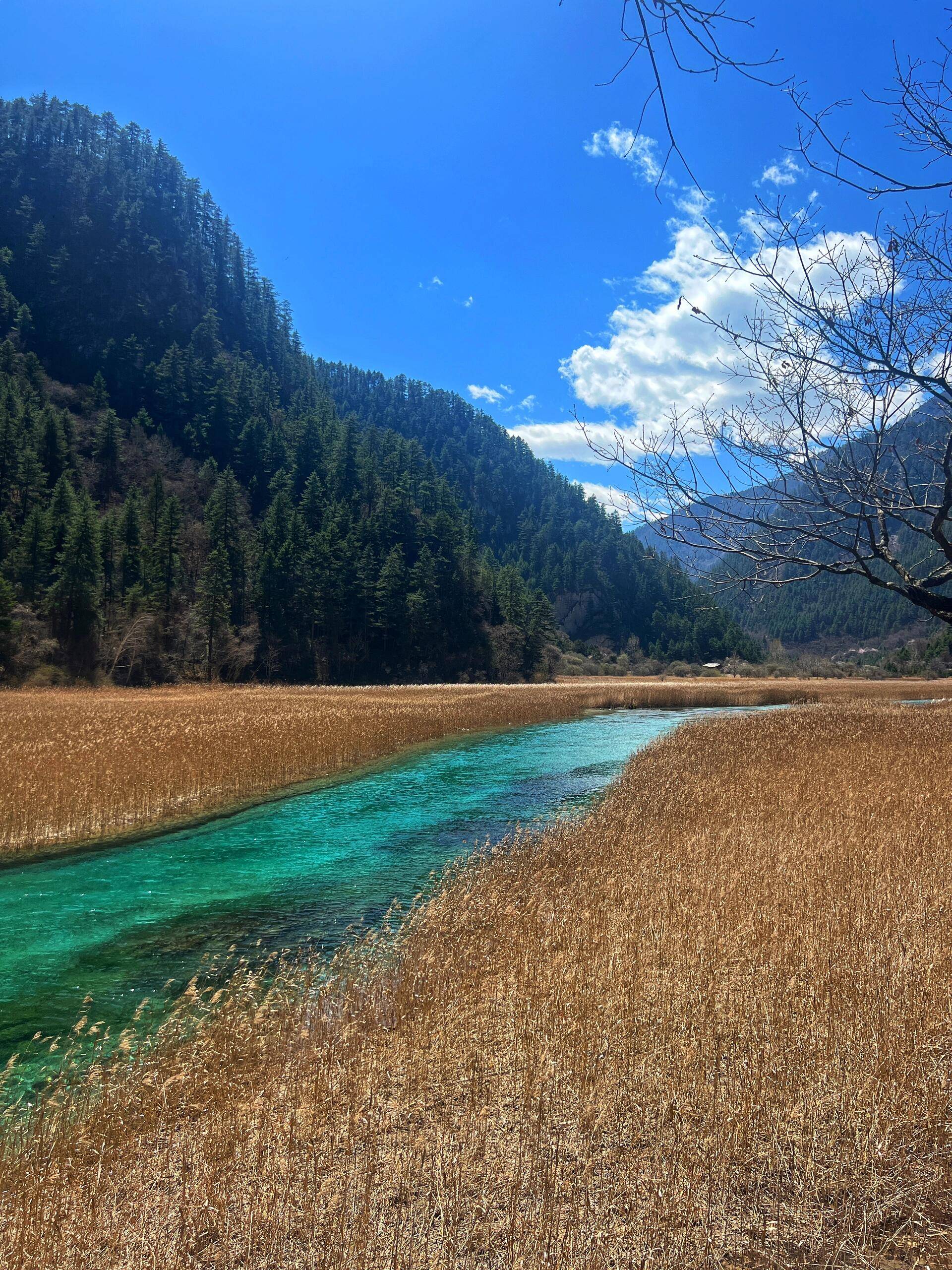 四川宜宾国家5a级旅游景区 ,游玩必看!