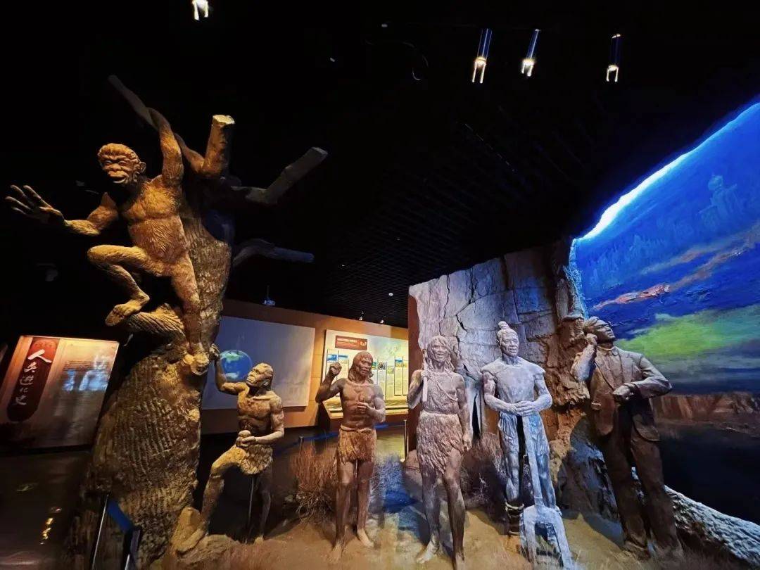 畅游宁夏·悦享生活 | 去了宁夏这些博物馆,对历史的遥想具象化了