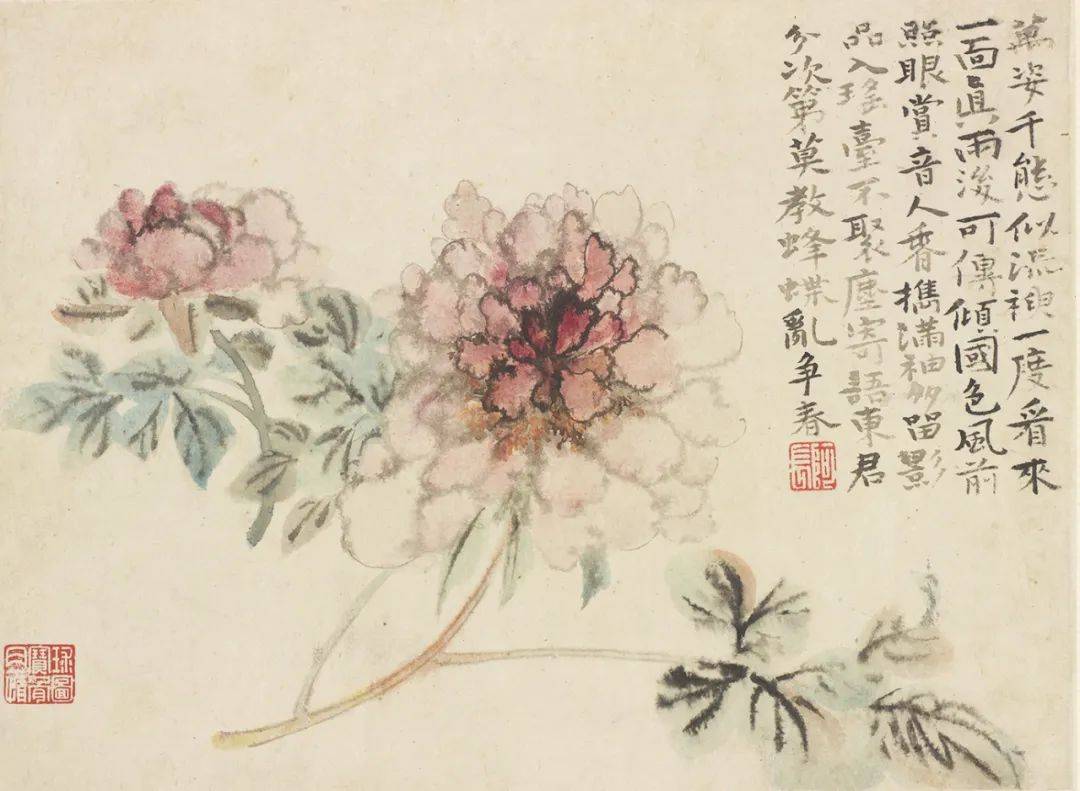 石涛【花卉册】_桃花_芍药_书法