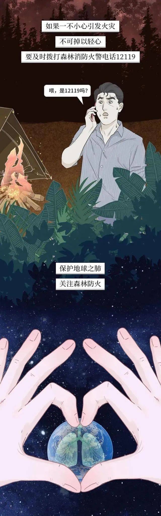 一图读懂 i 森林火灾那些事儿