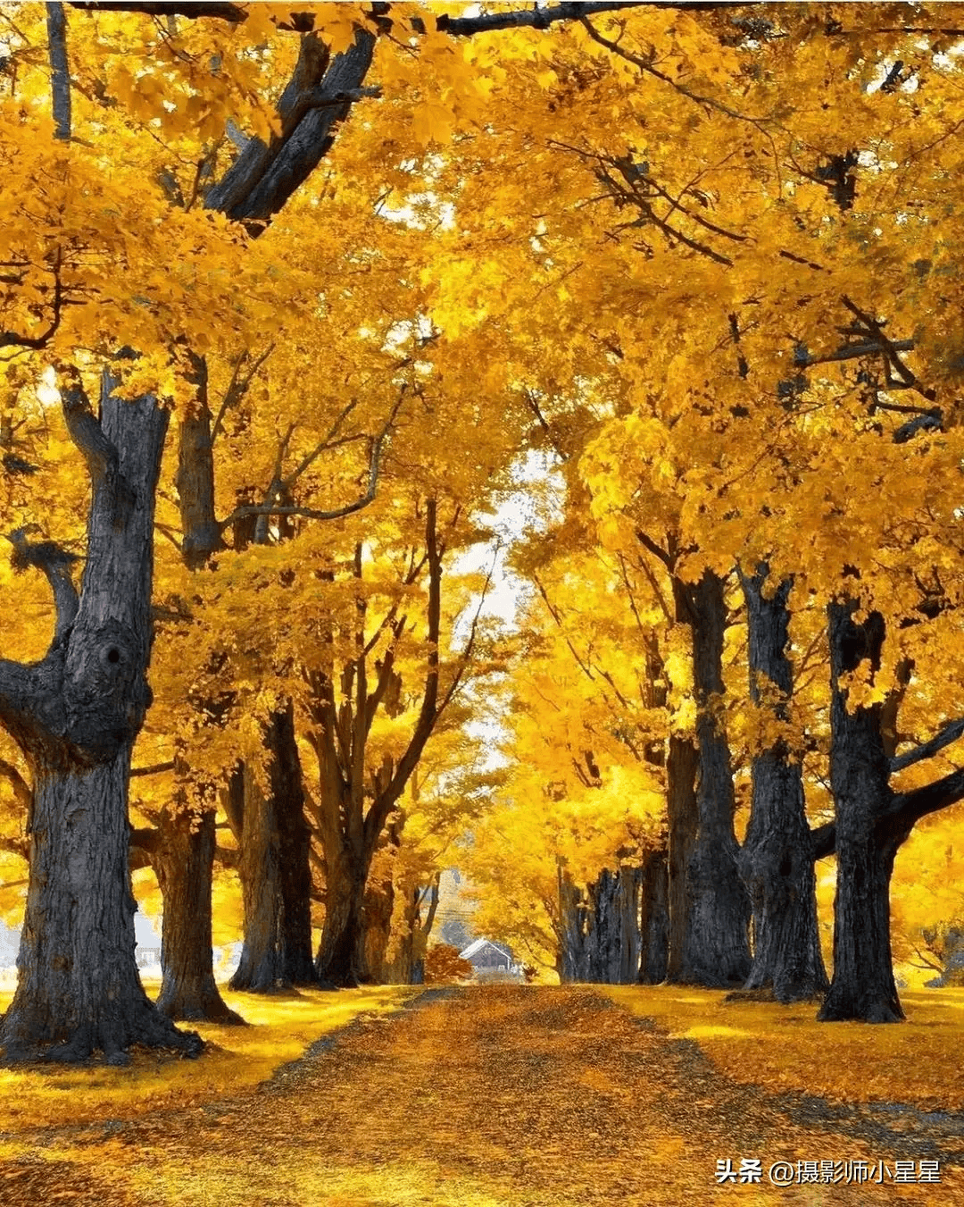 最美风景图片 大自然图片