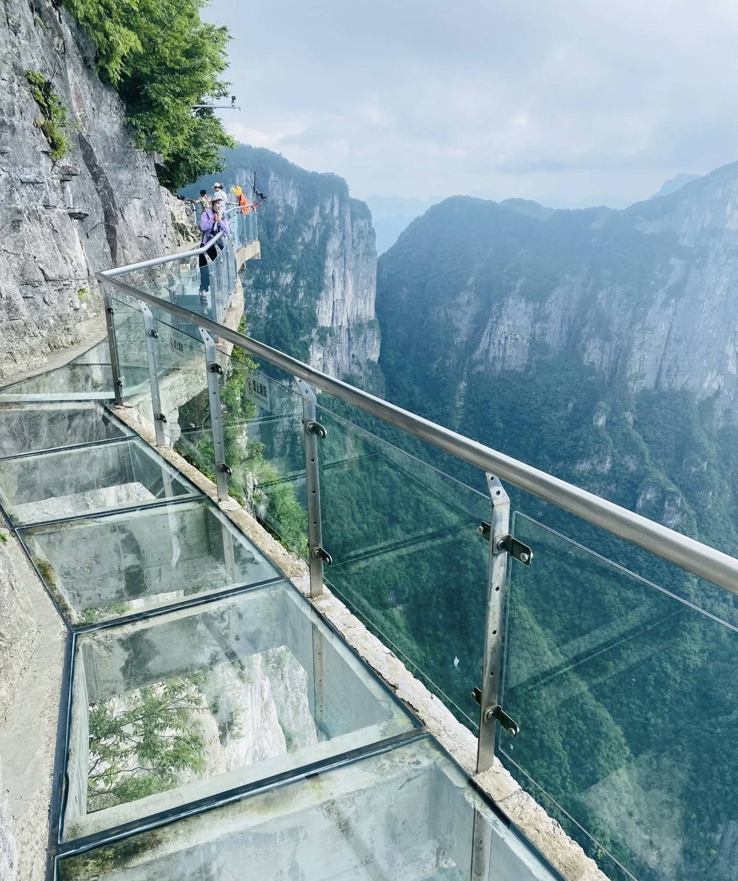 张家界旅游攻略河北 ,自由行路线攻略,这篇超棒攻略快