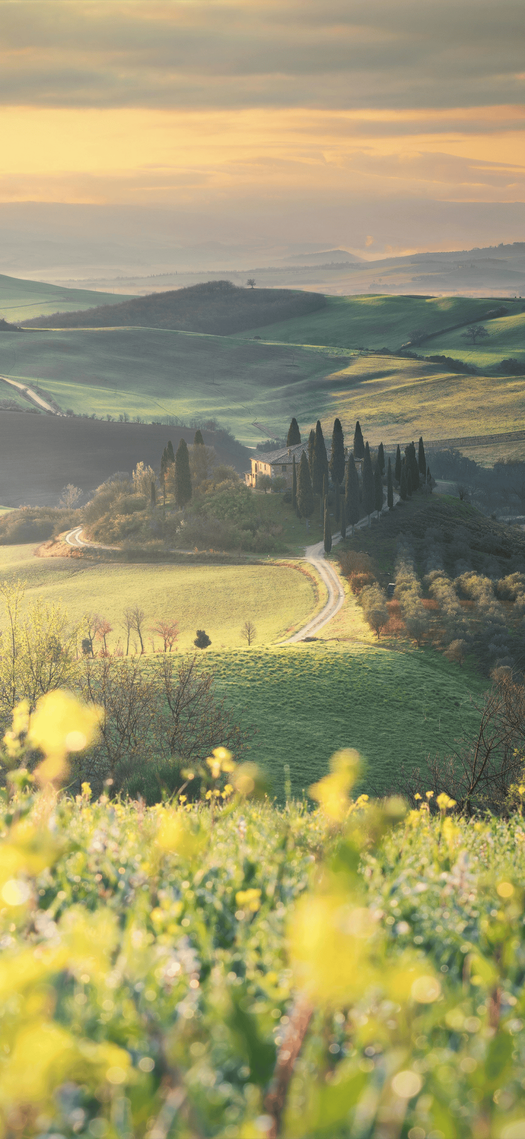 1080_2340 竖版 竖屏