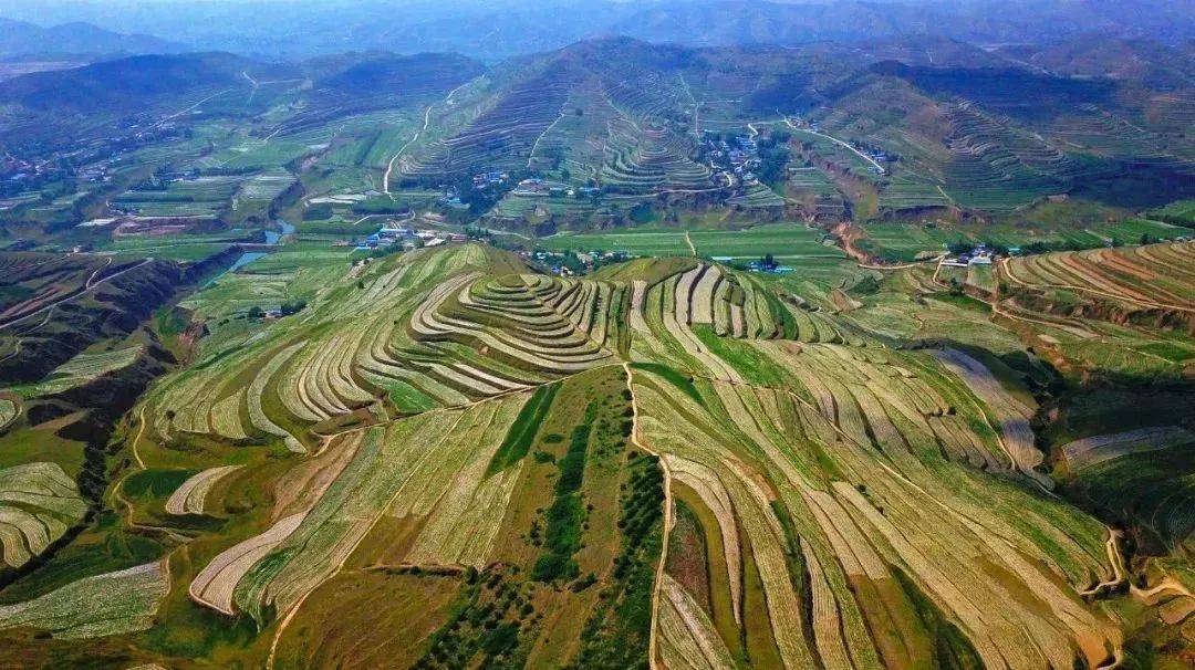 你大概没听过,西北这个地方产出的马铃薯顶好的