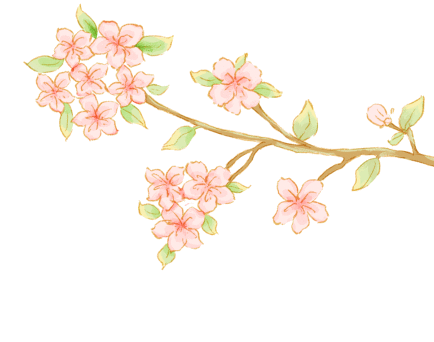 【教学研究】优化复习模式 构建高效课堂——青岛六中