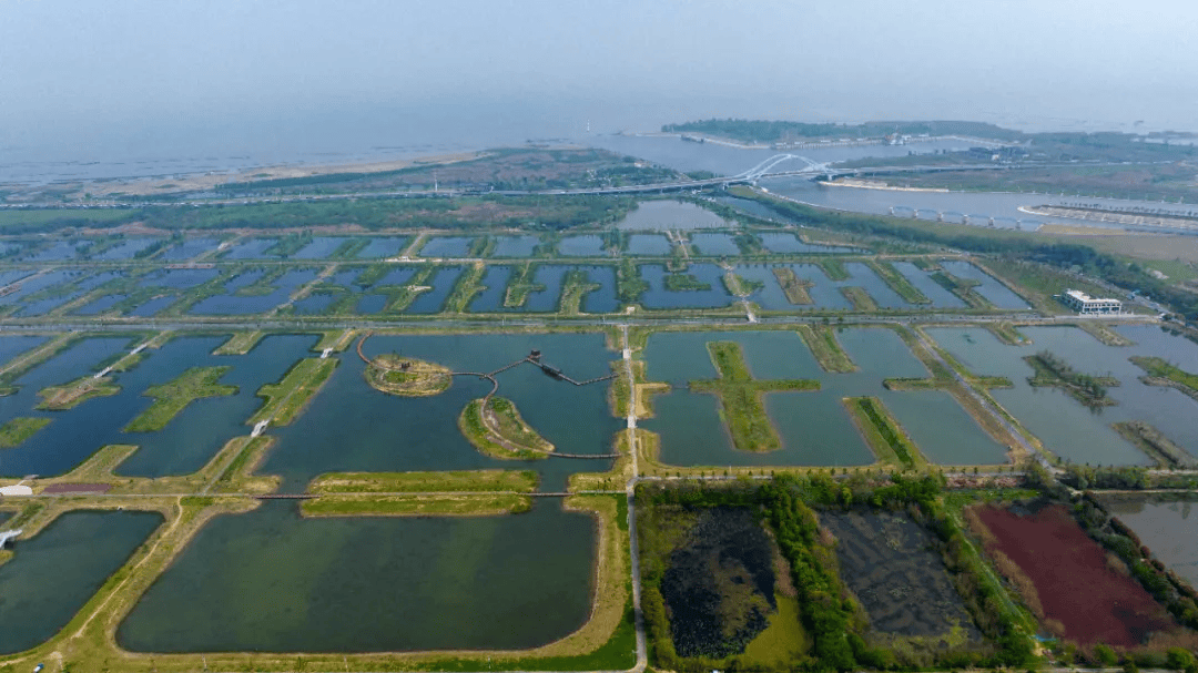 引江济淮瓦埠湖水位图片