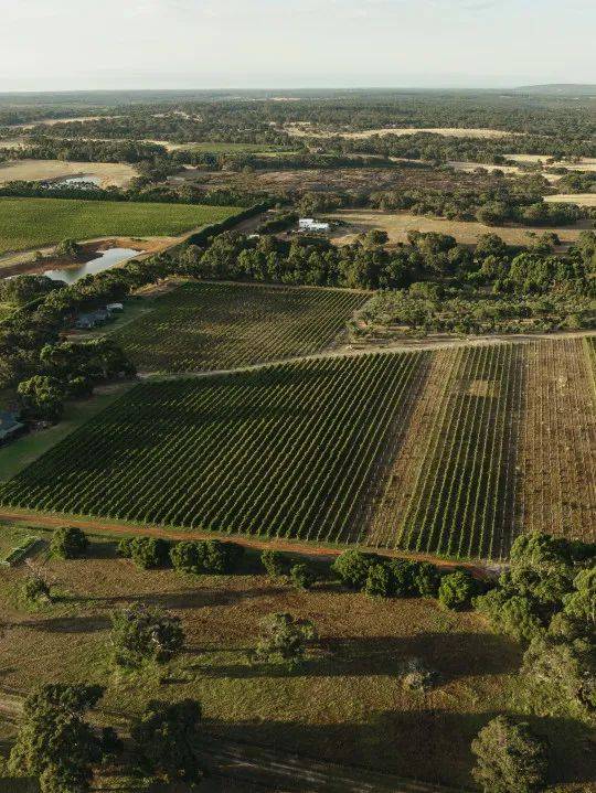 一键收藏!澳大利亚葡萄酒入门指南