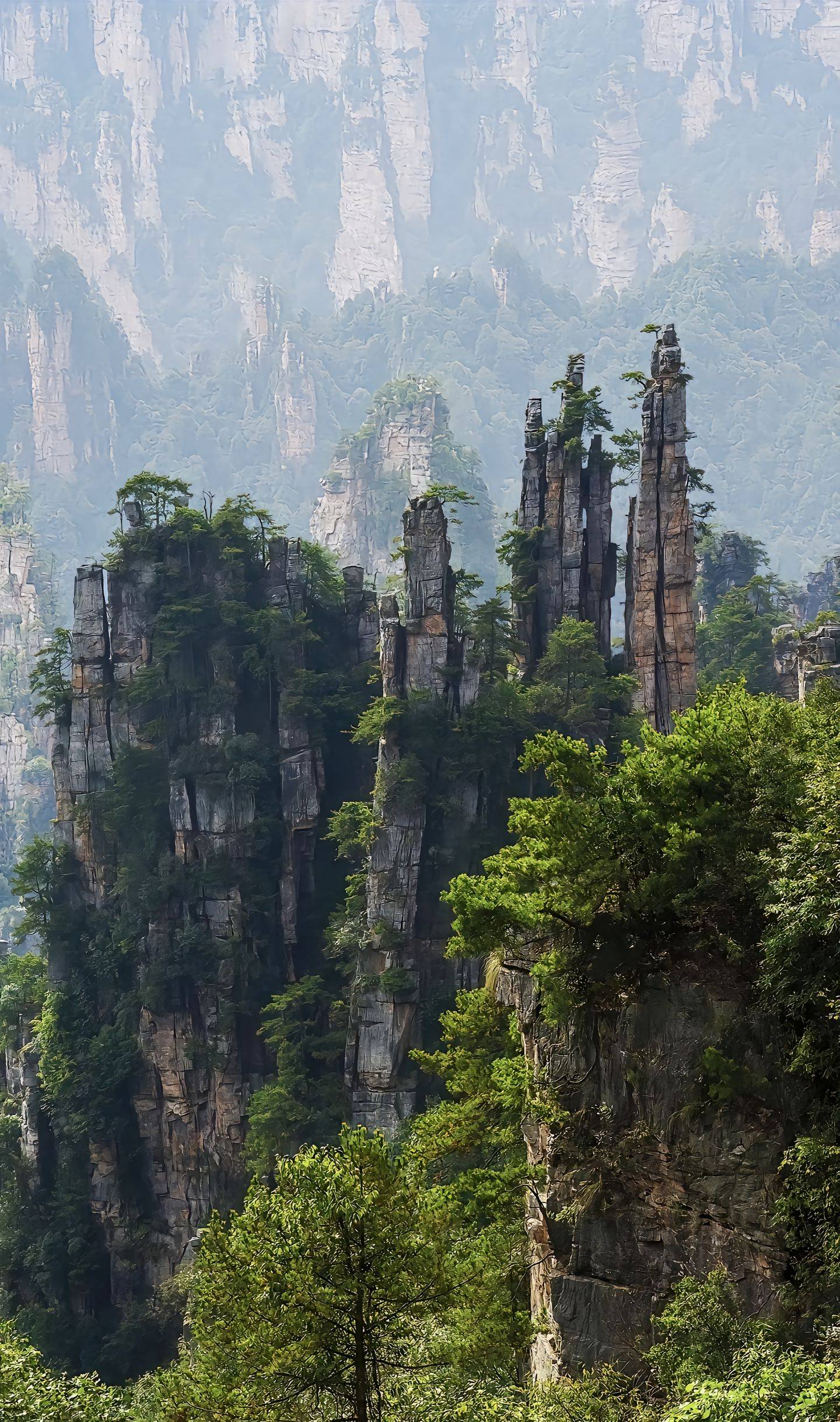 张家界的全部风景图片图片